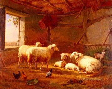 Moutons avec des poulets et une chèvre dans une grange Eugene Verboeckhoven animal Peinture à l'huile
